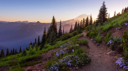 From the North Cascades to the Sierra, here are our favorite day hikes along the PCT.