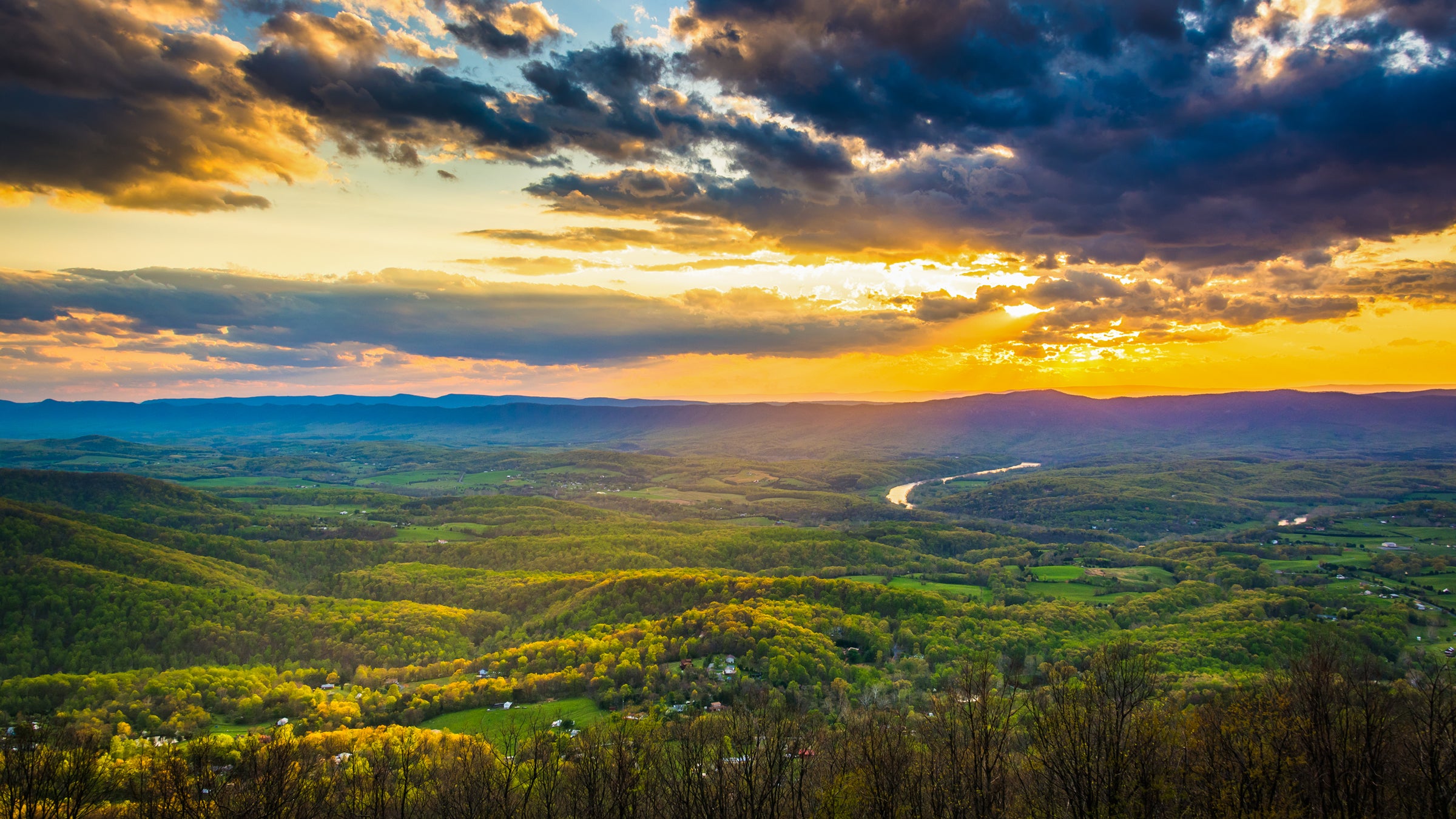 Blue Ridge, Appalachian Trail, Shenandoah, Wildlife