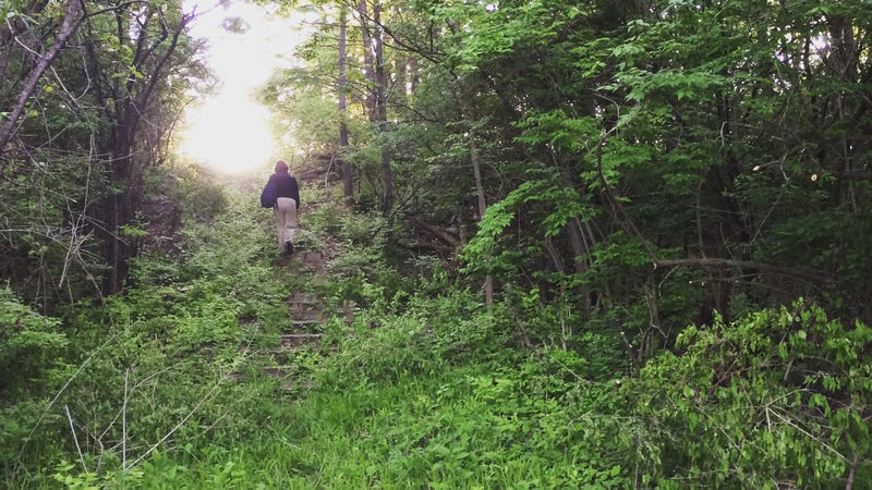 The stairs to the campsite before Scout Hollow was cleaned up