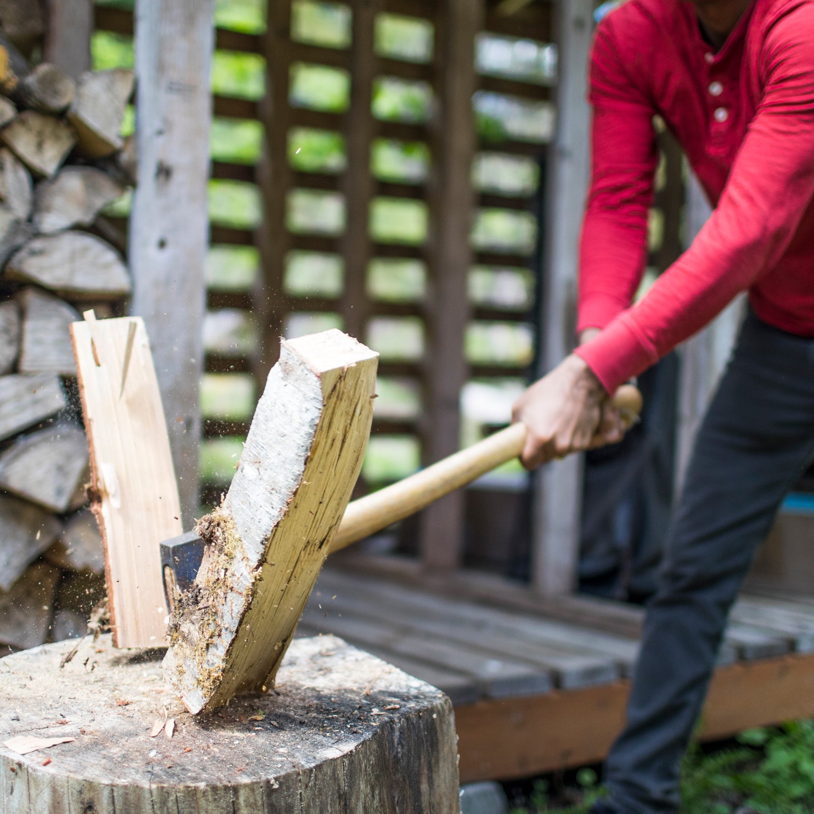 New Mexico Wood Cutting Permits