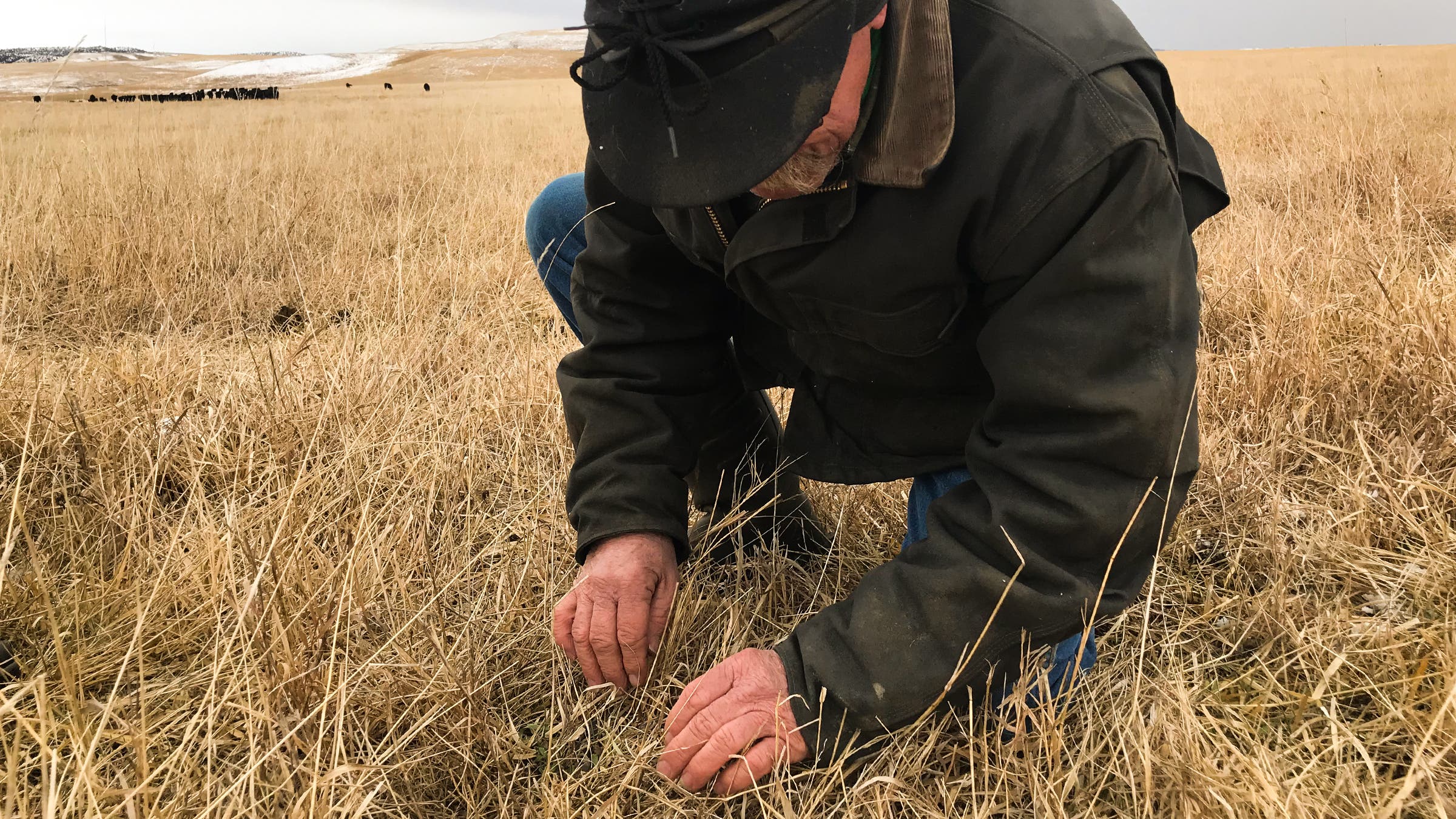 Roger Indreland says the carbon initiative program “lends a level of excitement we’ve never had before.”