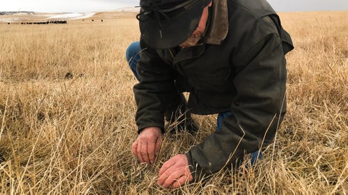 Roger Indreland says the carbon initiative program “lends a level of excitement we’ve never had before.”
