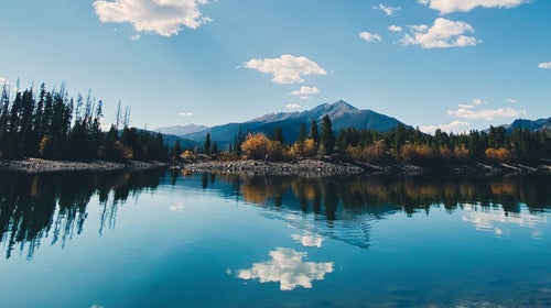 White House residency is far from the only thing on the November 3 docket.