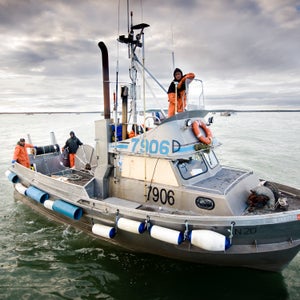 Salmon fisherman, Bristol Bay, Alaska, USA
