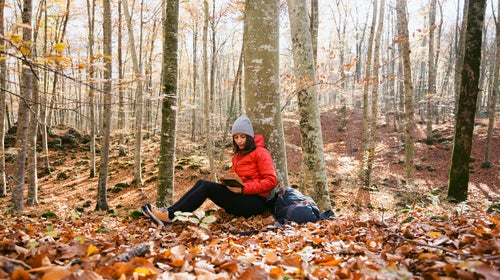 Last month, Outside editors tried to stay sane amid a stressful news cycle by replacing a Twitter habit with some poetry, listening to a podcast about couples therapy, and reading a book that encourages getting in touch with all five senses.