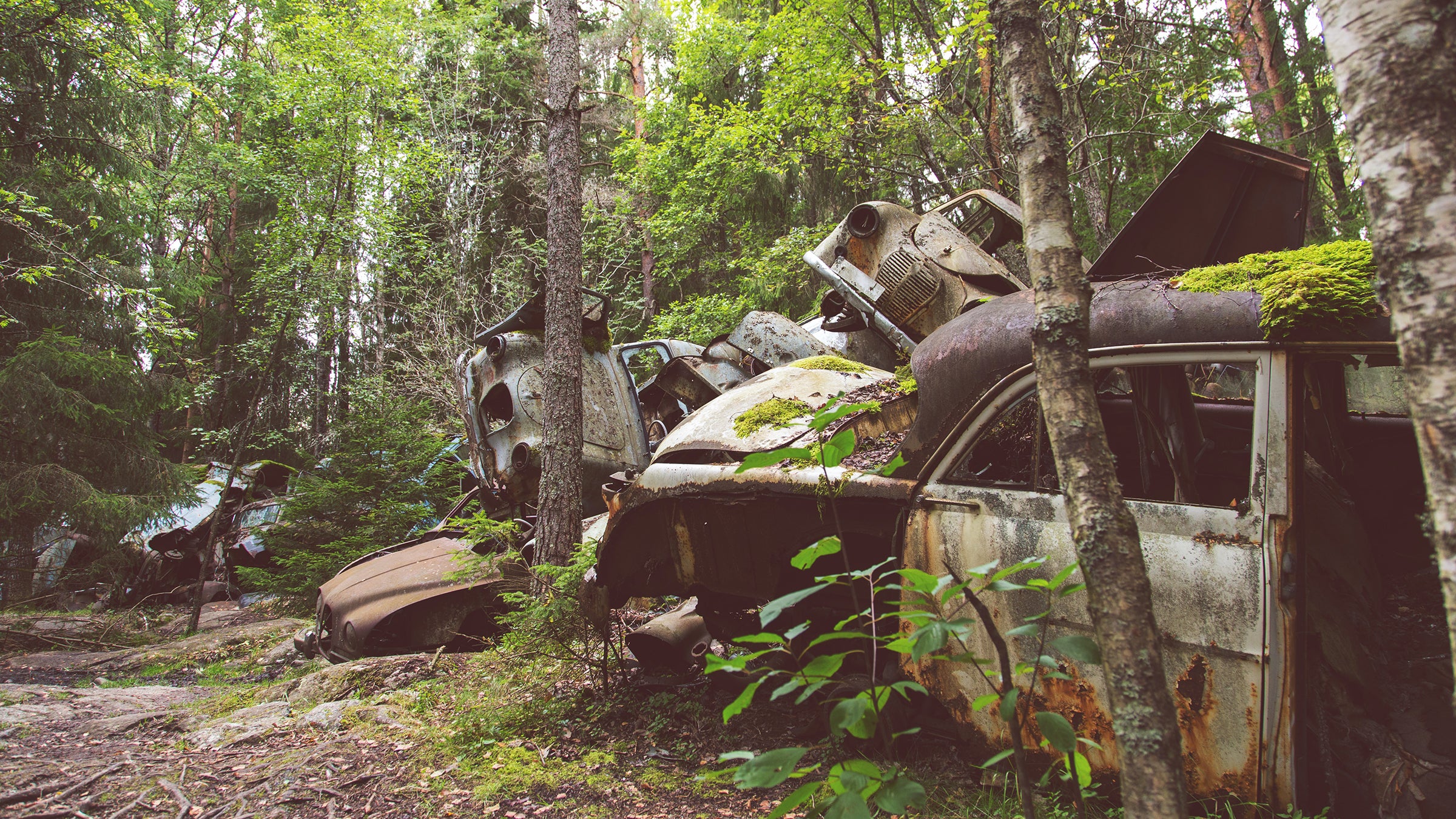 Nature is all around us if we practice looking for its small splendors.