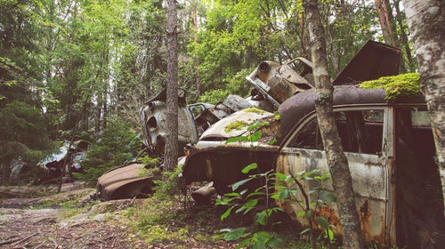 Nature is all around us if we practice looking for its small splendors.