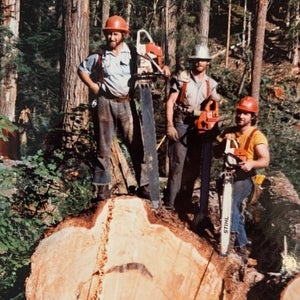 In the 1990s, a fierce confrontation in the Pacific Northwest pitted loggers against activists and scientists trying to defend ancient forests.
