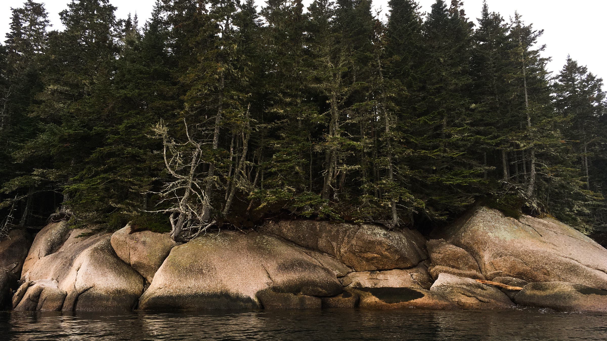 The Down East shoreline