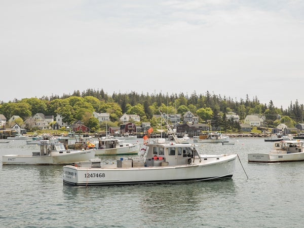 A fishing town in Maine’s Down East region, about an hour north of Bar Harbor