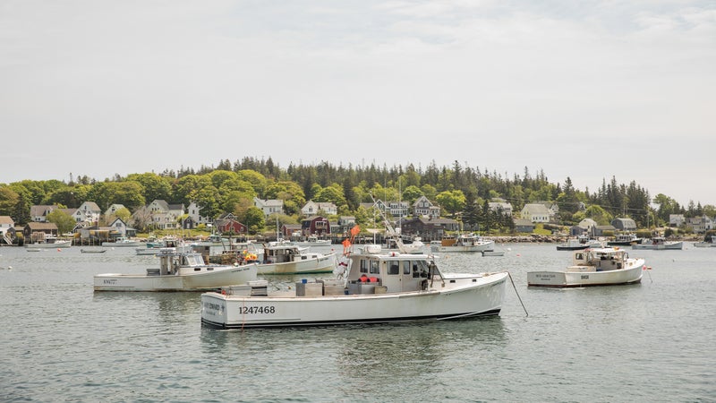A fishing town in Maine’s Down East region, about an hour north of Bar Harbor