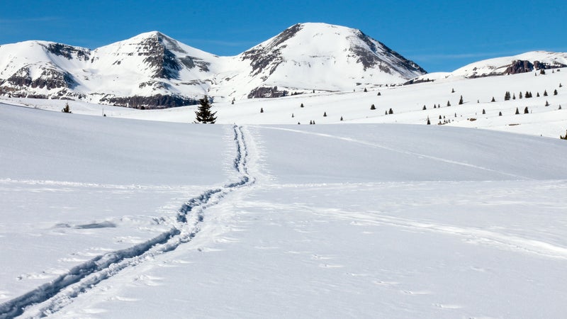 Nordic ski track through snow to peaks