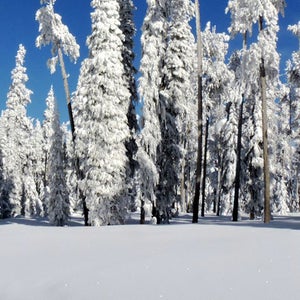 Cross-country skiing at Chief Joseph Pass