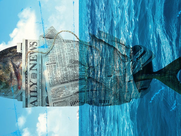 The average can of tuna drags behind it a tangled net of wrecked ecosystems, definned sharks, debt bondage, child labor, human trafficking, physical abuse, and murder.