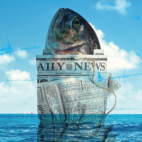 The average can of tuna drags behind it a tangled net of wrecked ecosystems, definned sharks, debt bondage, child labor, human trafficking, physical abuse, and murder.