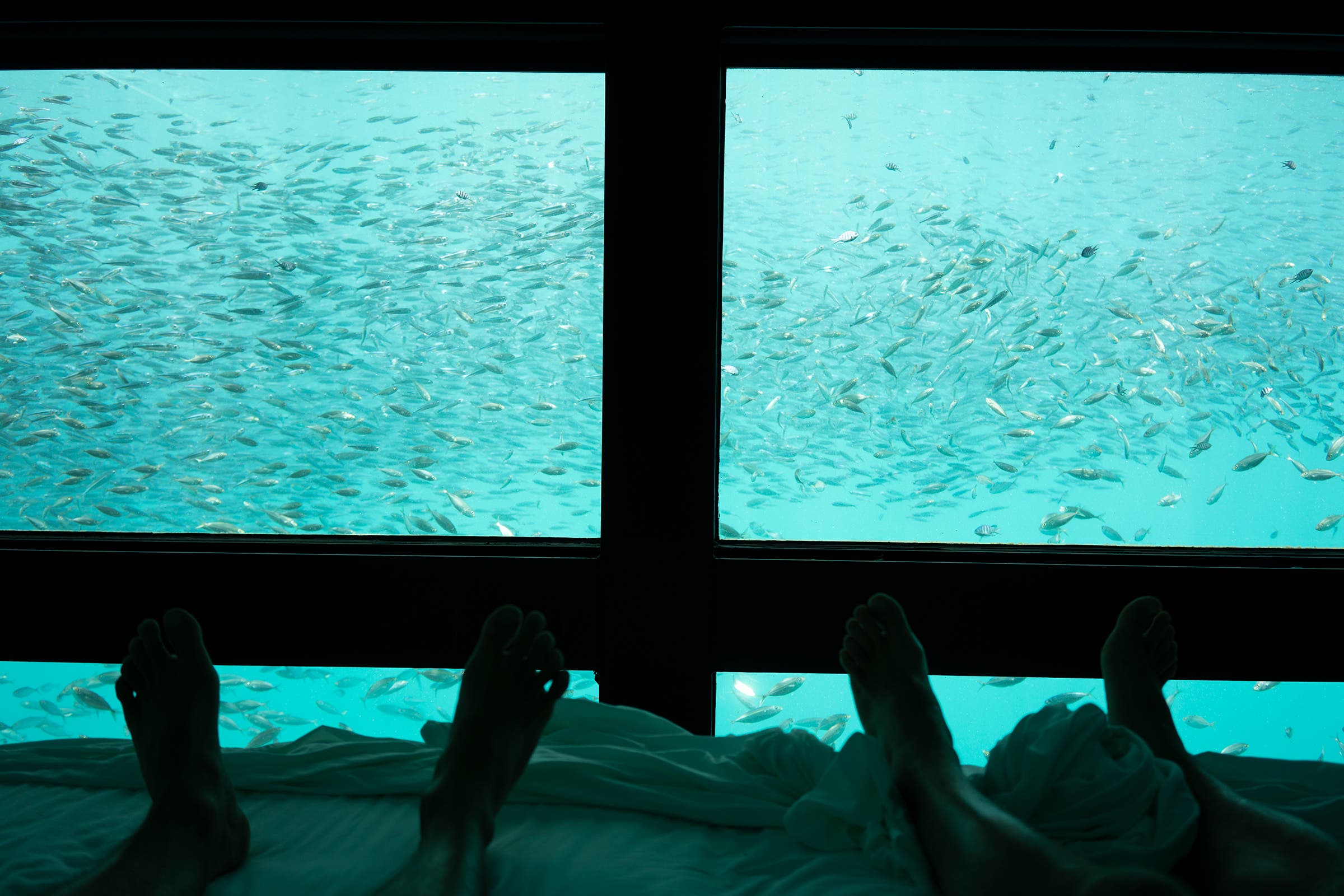 The author and Remi chilling underwater at Reefworld