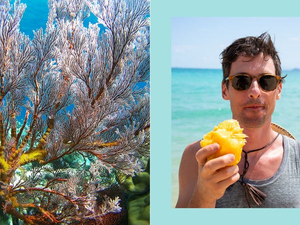 Left, the Great Barrier Reef; right, the author eating a mango on Whitehaven Beach