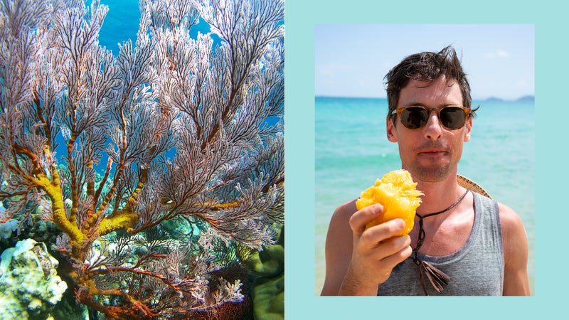 Left, the Great Barrier Reef; right, the author eating a mango on Whitehaven Beach