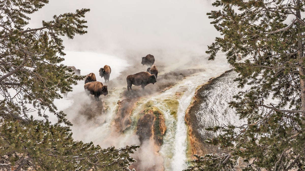 Your Guide to Visiting National Parks in Winter