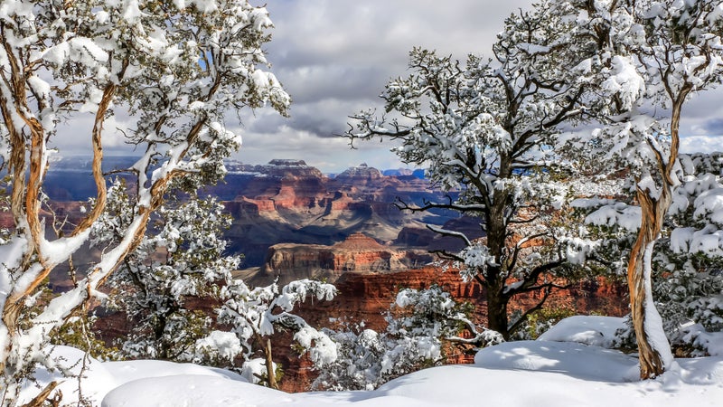 Grand Canyon Snow 2
