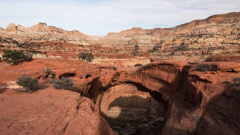 Cassidy Arch - Capital Reef National Park, Utah