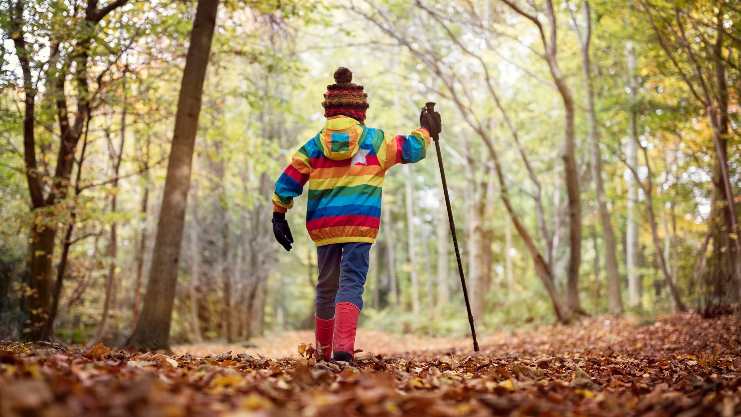 Walking in autumn and winter
