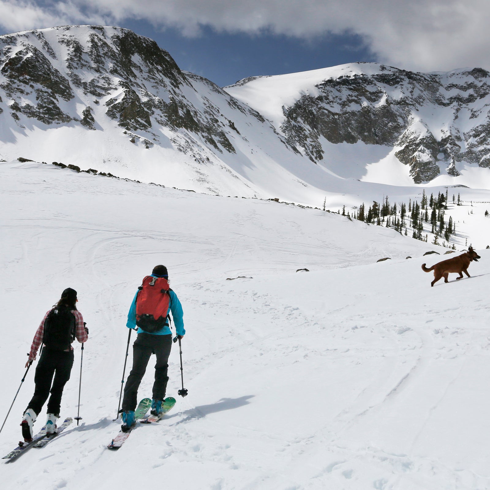 The Backcountry Ski Sales Boom Is Upon Us