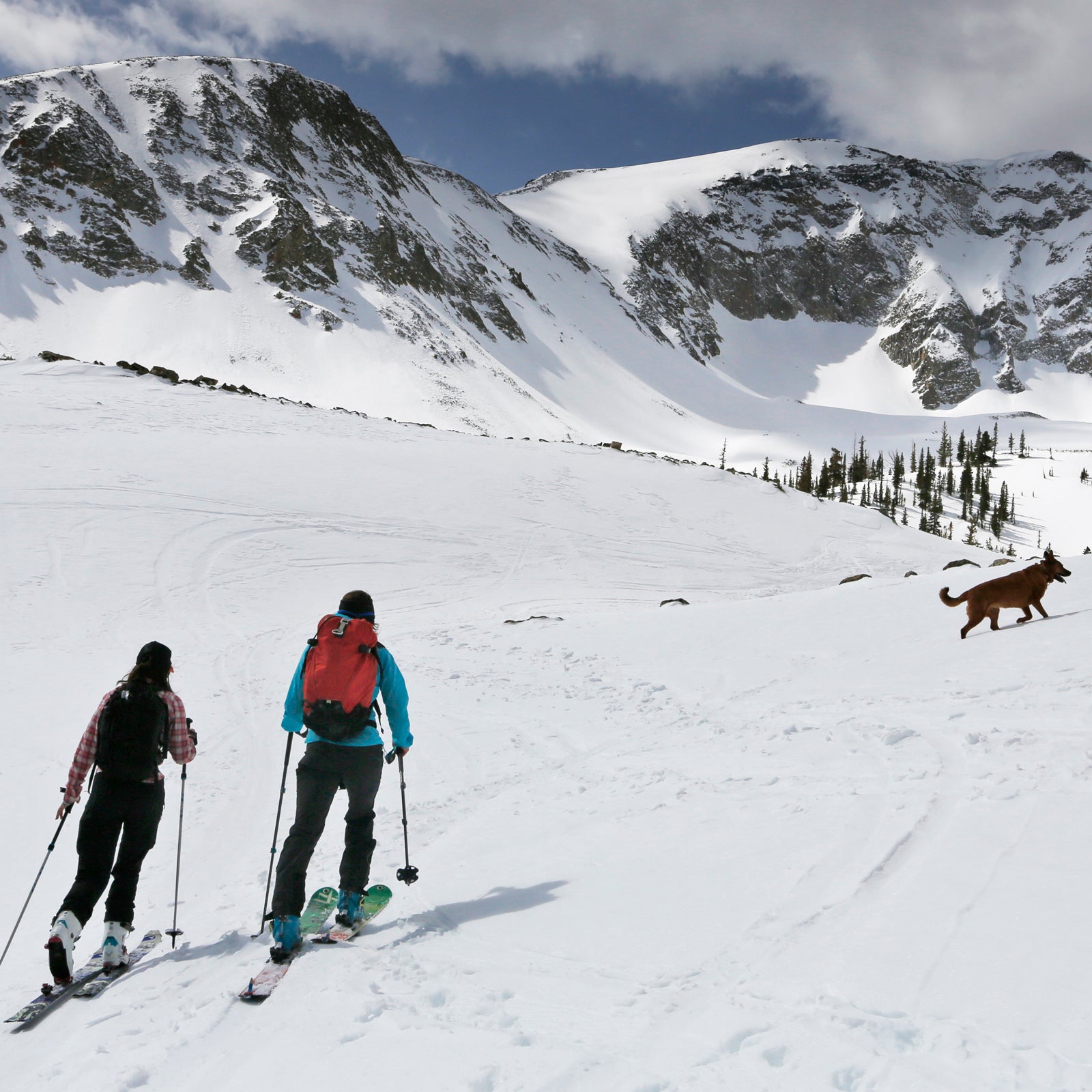 Female Skier On Track Stock Photo - Download Image Now - Skiing