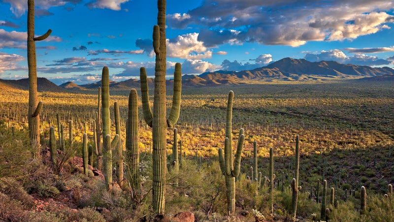 Your 2021 National Park Calendar