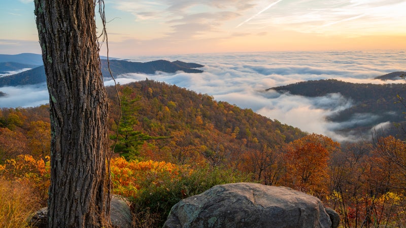 Shenandoah National Park