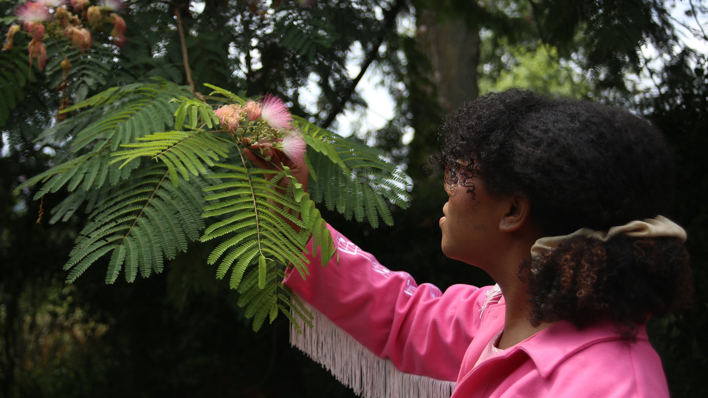 People don’t have to live in the forest or the mountains to forage, says Nelson.
