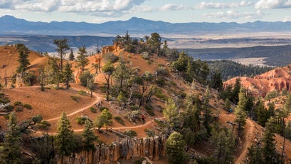 Mountain biking in Red Canyon.