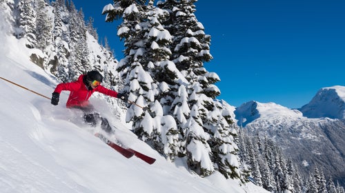 The most notable adaptations have made not sucking at this sport so much easier.