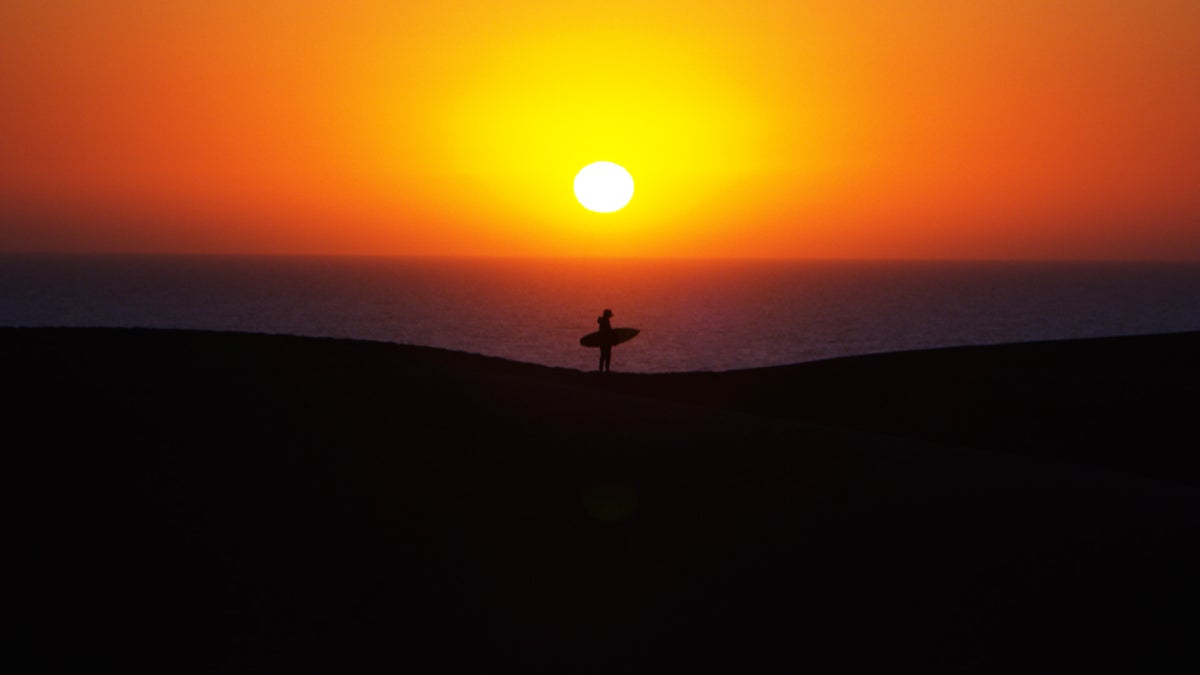 Landscapes, Seascapes: A Surfer's Study of Wild Africa