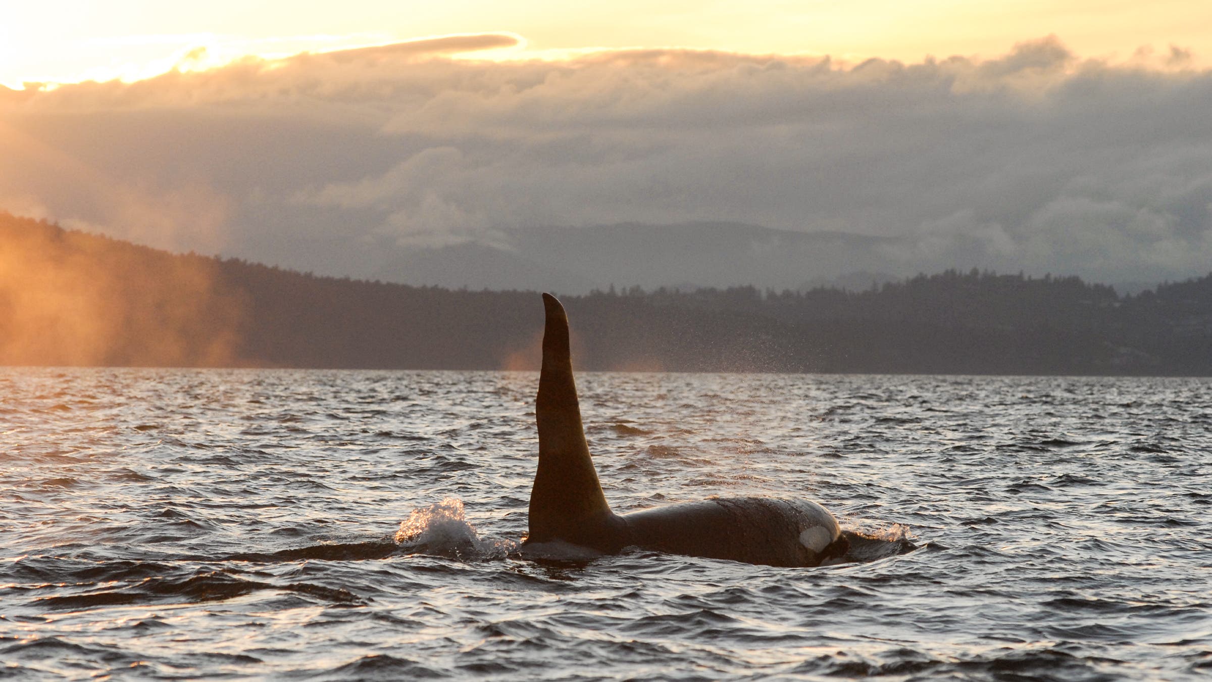 J1 heads off into the sunset on March 3, 2009.