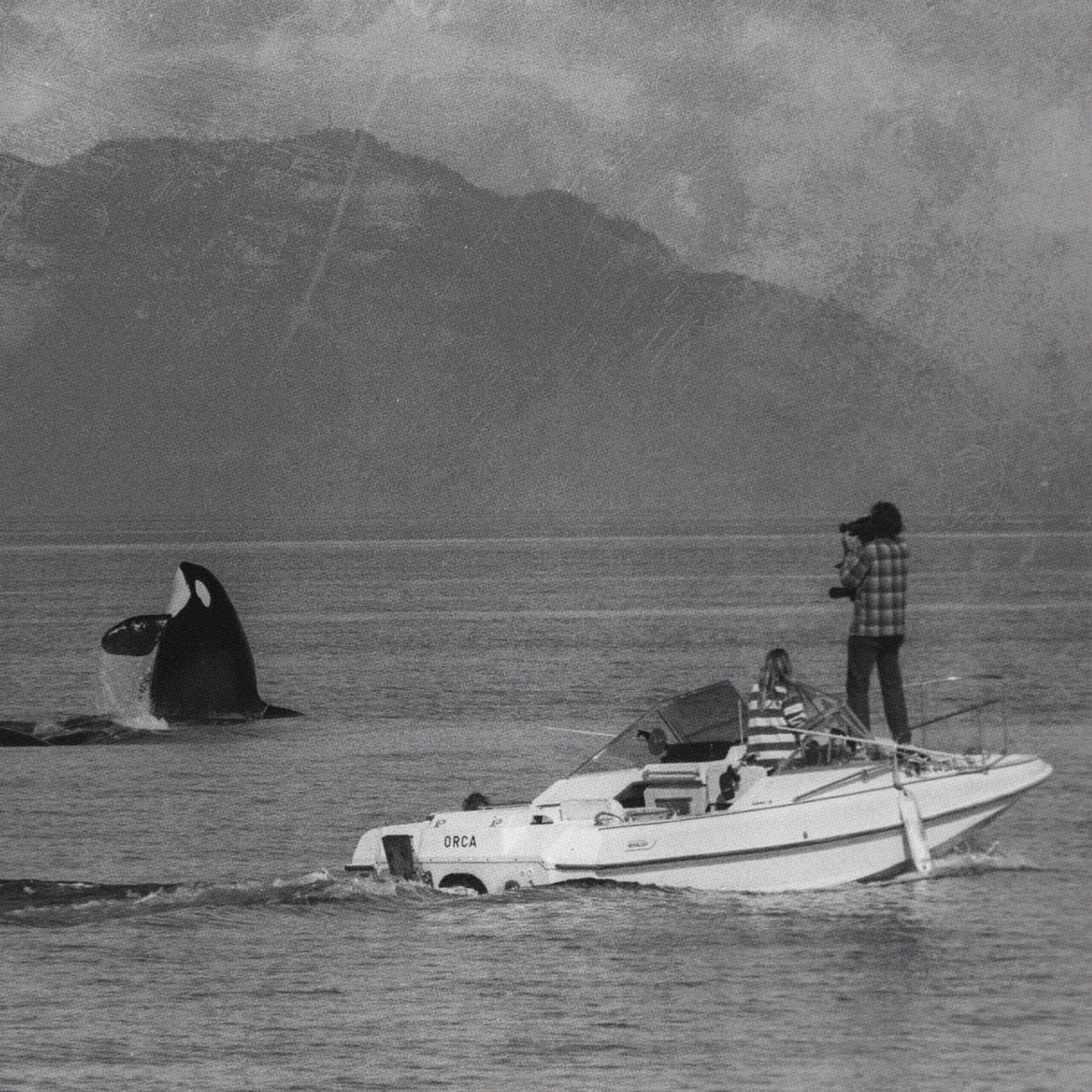 Ken Balcomb documenting whales in the late 1980s