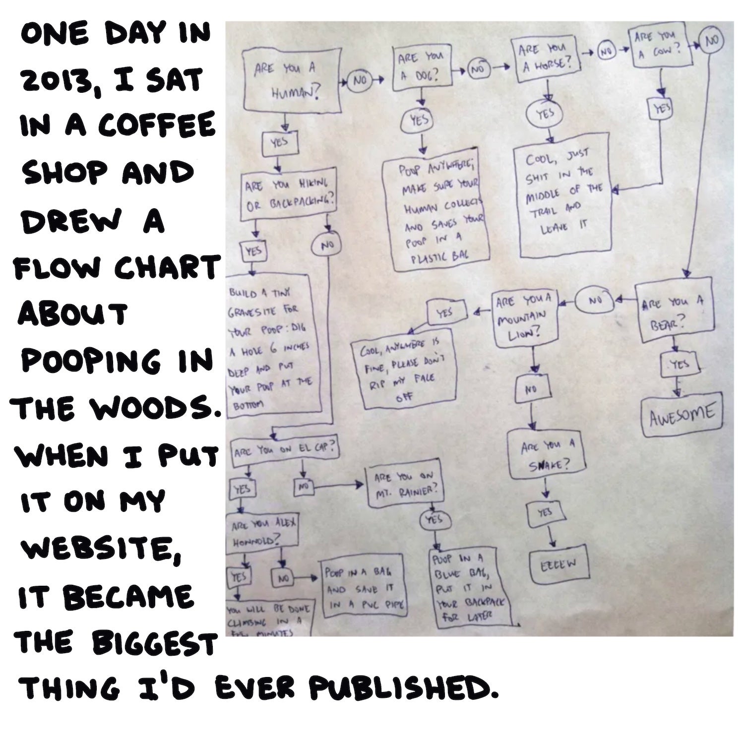 One day in 2013, I sat in a coffee shop and drew a flow chart about pooping in the woods. When I put it on my website, it became the biggest thing I’d ever published.