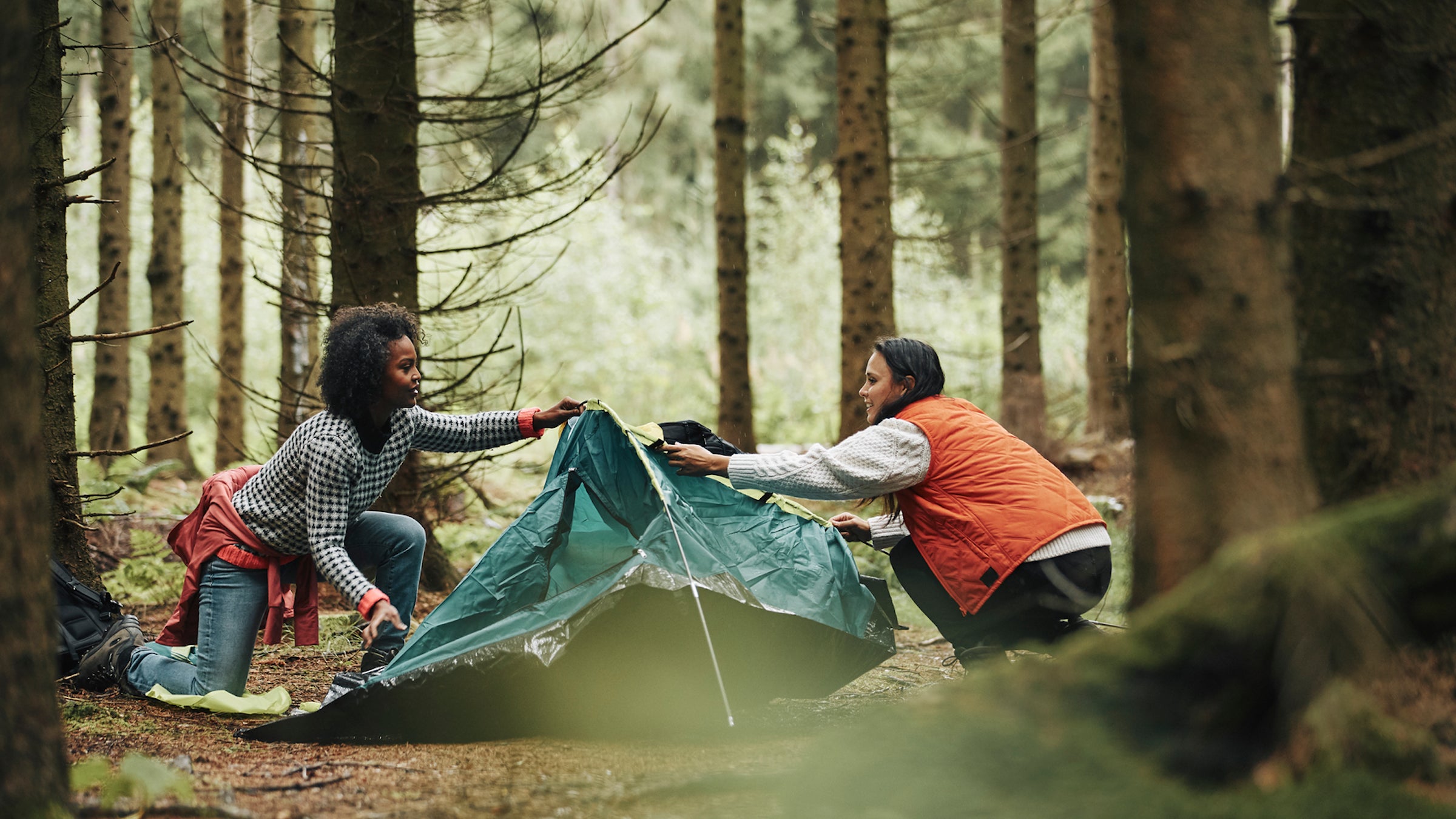 The most important element of the apology is the last part, the self-examination