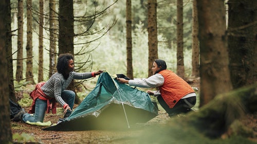 The most important element of the apology is the last part, the self-examination