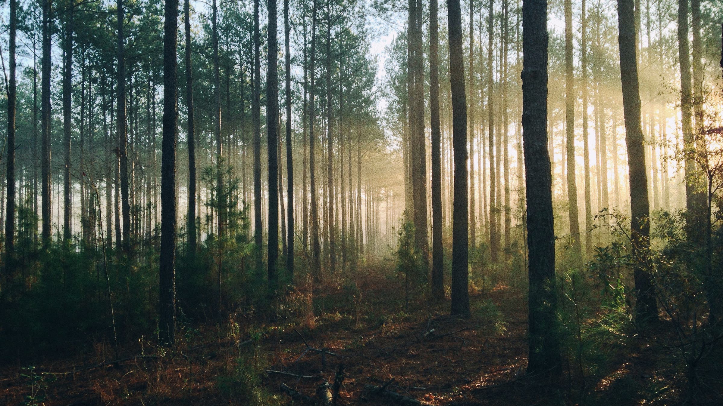 5 New Outdoorsy Podcasts We Love