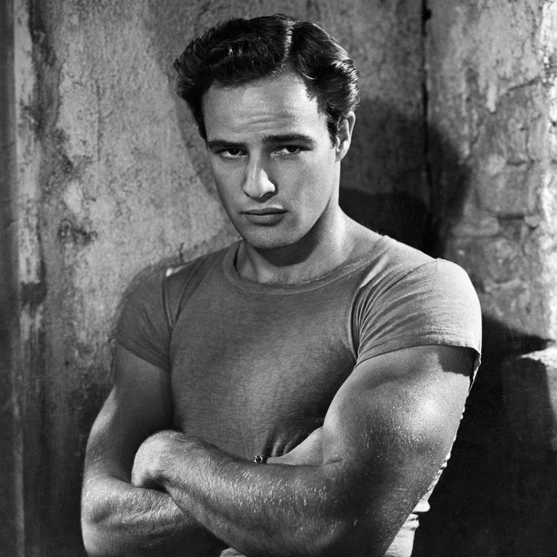 Marlon Brando as Stanley Kowalski