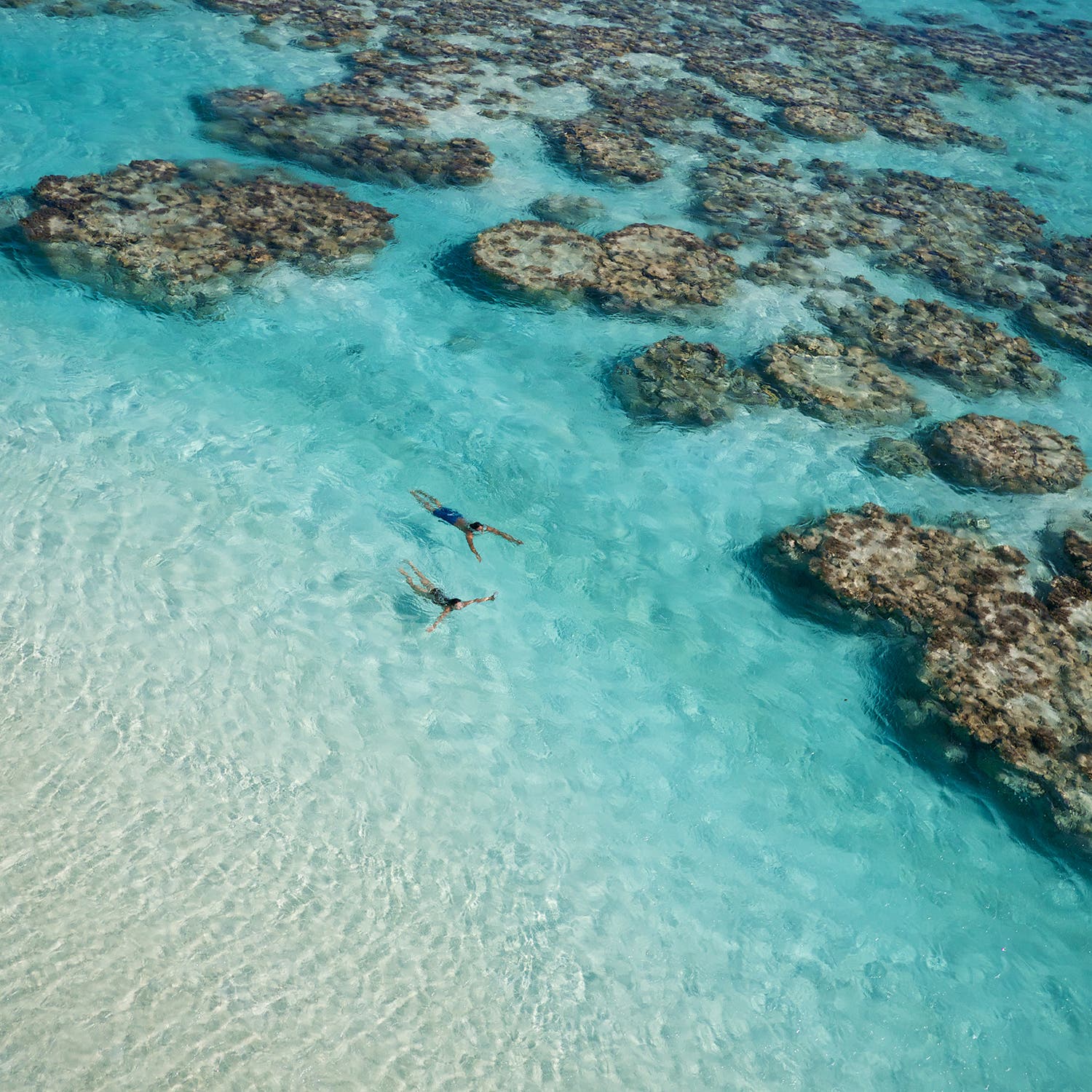 Swimming in the lagoon
