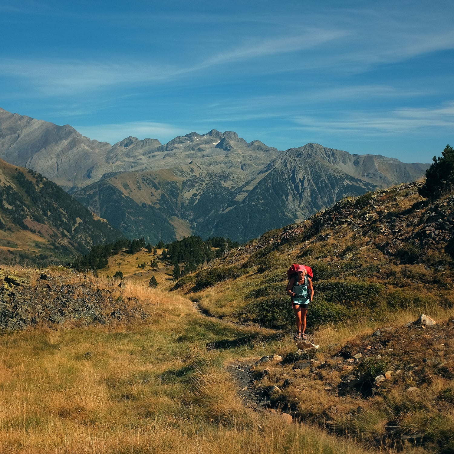 If you want to skip leg day, go on a hike instead 