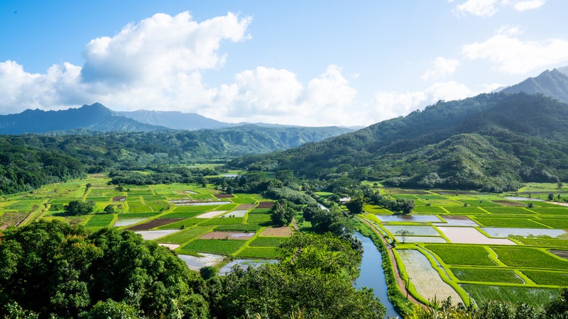 Kauai Farmlands, Hawaii