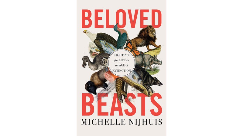 beloved beasts book review