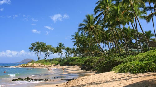 Now, one year and a whole lot of chaos later, spring travel doesn’t exactly look like it did way back in 2019, but with the proper precautions, a break from the grind can happen in some shape or form.