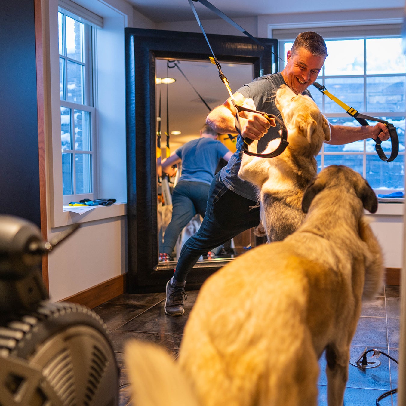 The dogs are fascinated by workouts for some reason.