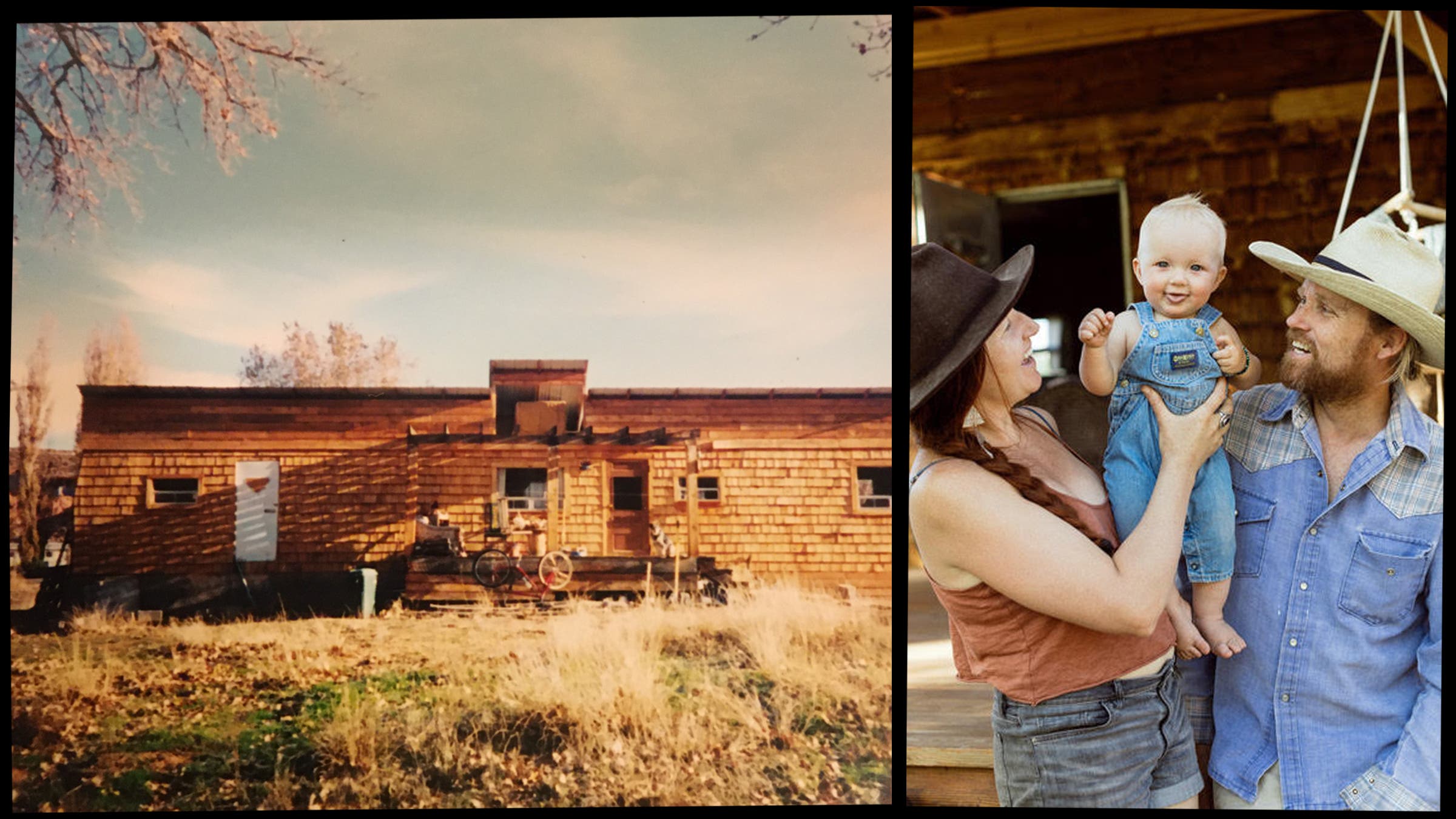 Shinglewide quarantine, April 2020