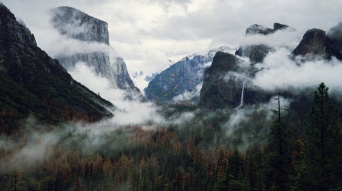 The National Park Services urges visitors to take extra caution when traversing Yosemite’s many stunning cliffs, creeks, and cascades.