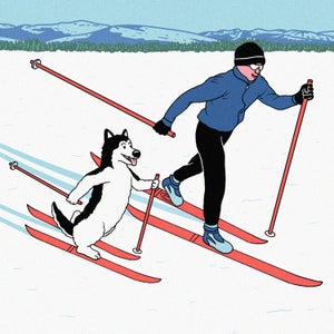 As a law-breaking dog owner, I’m pained to say that this is a case where you should follow the rules.